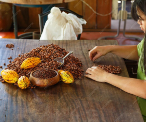 cocoa 7